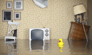 كشف تسربات المياه بدون تخريب