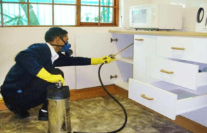 شركة رش مبيدات شرق الرياض