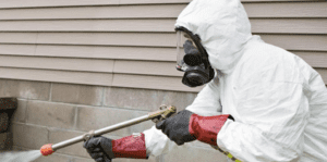 شركة مكافحة حشرات