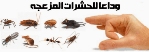 مكافحة الحشرات