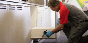 أفضل شركة مكافحة حشرات وفئران