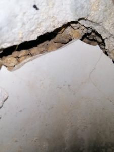 ارقام كشف تسربات المياه بالرياض