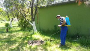 خدمة رش المبيدات